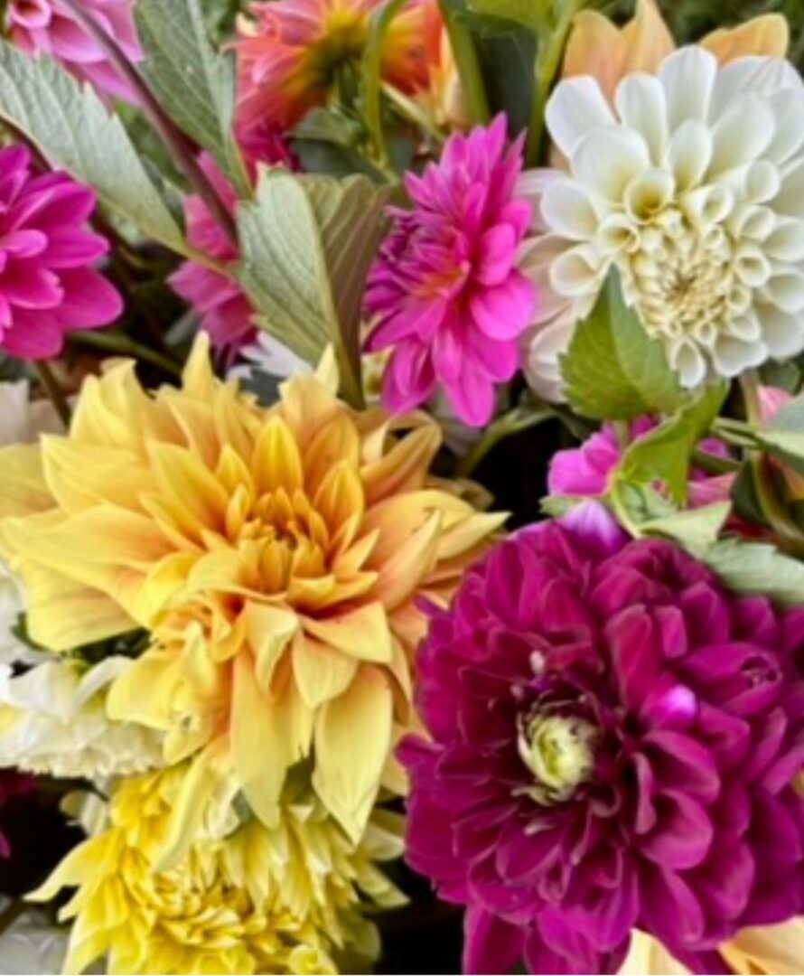 Image gallery image