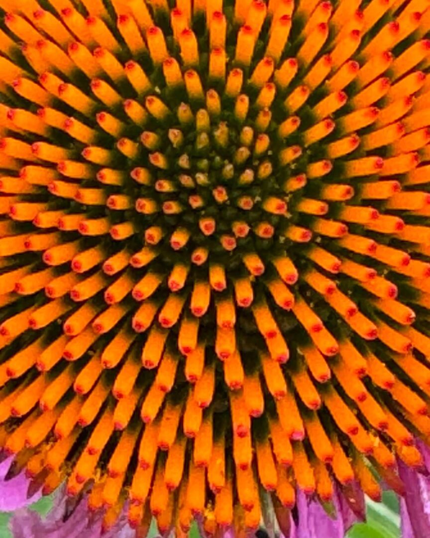 Image gallery image